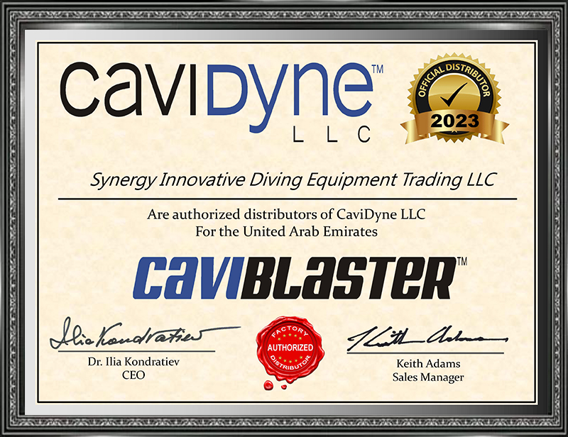 CaviDyne LLC 2022